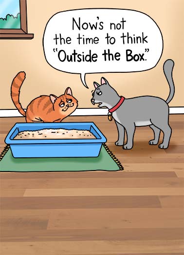 Outside the Box Funny Kevin Card Birthday A funny birthday card of a cat not using a litter box. | happy birthday cat illustration litter box outside thinking time bathroom restroom house cartoon illustration It is time to wish you a Happy Birthday!